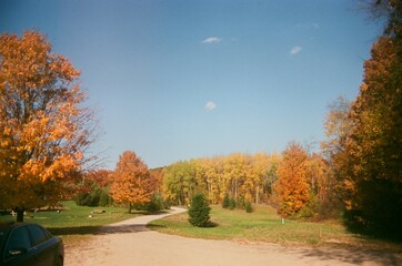 Sunny Fall Day Picture of colorful trees on 35mm film Michigan