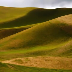 Obraz premium field and blue sky