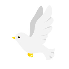 white dove bird pigeon illustration isolated on white and transparent background. white bird animal flat style vector