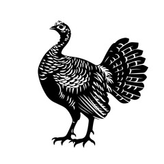 Fototapeta na wymiar Wild Turkey Logo Monochrome Design Style