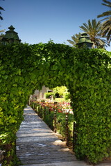 Woven plant branches forming an arch in beautiful garden.