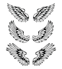 Obraz premium Illustration Of Wings Collection Set