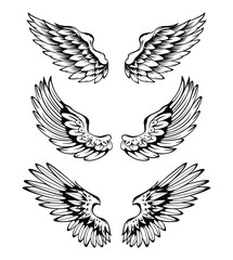 Illustration Of Wings Collection Set