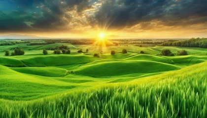 Keuken spatwand met foto a sunset over a green field  with the sun shining through the clouds and the sun shining through the leaves,  wind moving green grass, panoramic view, summer scenery © Gegham