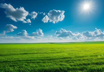 beautiful blue sky with a green field