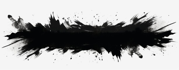 Fototapeta premium black splashed brushstroke