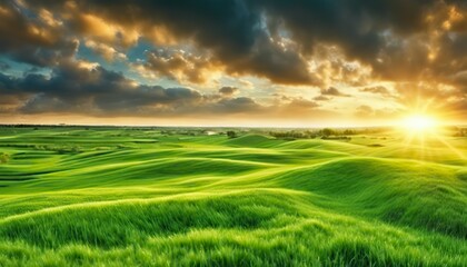 a sunset over a green field  with the sun shining through the clouds and the sun shining through the leaves,  wind moving green grass, panoramic view, summer scenery