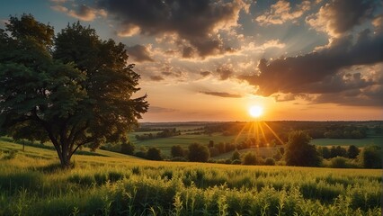 Naklejka na ściany i meble a sunset over a green field with the sun shining through the clouds and the sun shining through the leaves, wind moving green grass, panoramic view, summer scenery