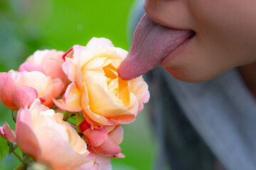 Tongue sensual lick rose. Sexy woman mouth with tongue sticking out. Beautiful mouth close-up. Big female tongue. Sexy tongue. © Volodymyr