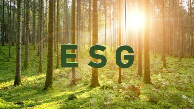 ESG word swing on the string in magic fairy tale forest. Concept Environment, Social and Governance.