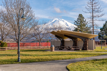 Weed rest area with a view near Mt. Shasta California.