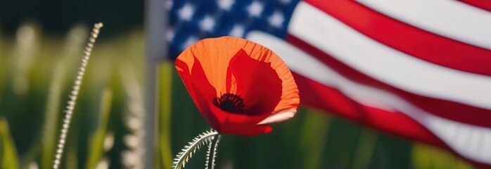 National Memorial Day banner with the patriotic flag of the United States and red poppies, close-up of the poppy and the flag of the USA , Memorial Day of the USA