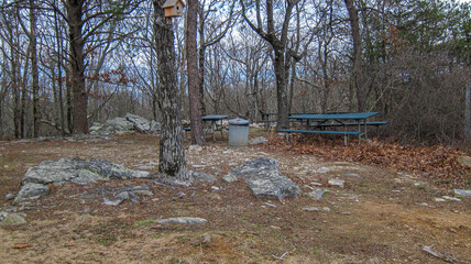 picnic area in park