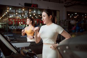 Two young woman are jogging on treadmill during her sports training in a gym.