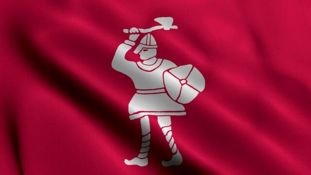 Fighting Man Banner of Harold Godwinson. Waving Fabric Satin Texture Flag 3D Illustration. Real Texture Flag of the Banner Harold Godwinsonthe United Kingdom Banner Collection  England, UK