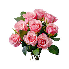 bouquet of pink roses