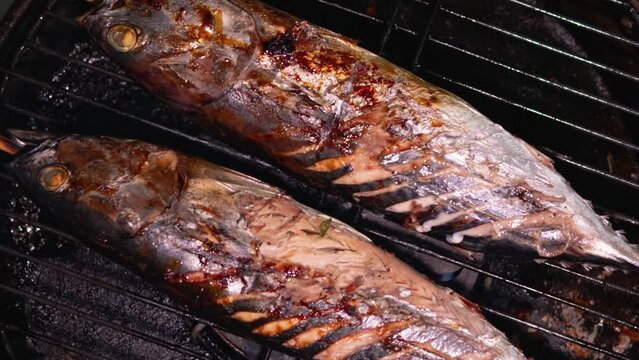 Asian food. Two grilled skipjack tuna on the grill. Katsuwonus pelamis