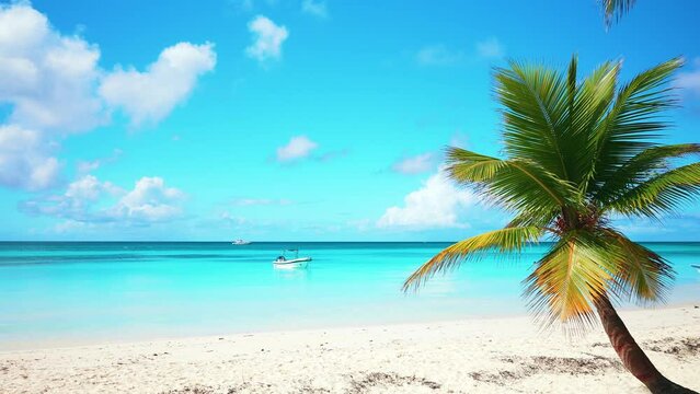 Summer Hawaiian beach with vibrant tropical nature. Blue sky and colorful palm tree on white sand. White boat in the blue sea. Summer holiday and tropical beach concept. Travel to a tropical paradise.