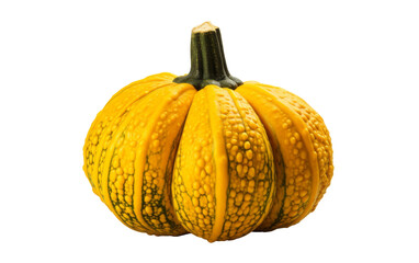 Acorn Squash Against on sofa on transparent background