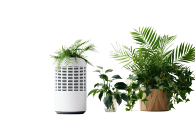 Influence in an Isolated Air Purifier with Complementary Plant Decor on White background