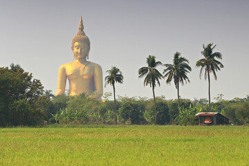 The largest golden Buddha statue with green rice field foreground at Wat Muang Temple in Ang Thong...