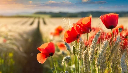 Rolgordijnen poppy field in summer © Duy