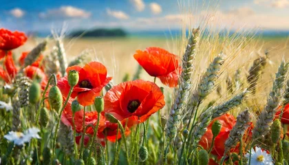 Zelfklevend Fotobehang poppies in the field © Duy