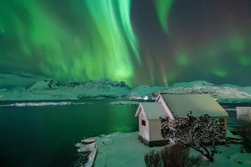 Zelfklevend Fotobehang Norway Lofoten Islands winter  snow-covered geography northern lights at night green colored aurora borealis in the sky © Aytug Bayer