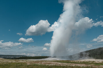 Fototapeta na wymiar Old Faithful Geyser erupting during the day in Yellowstone National Park