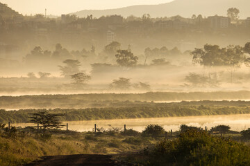 Lake Nakuru in a fog morning, Kenya - obrazy, fototapety, plakaty