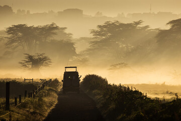 Safari car in a fog morning during Nakuru Park trip, Kenya