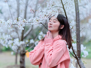 Beautiful young Chinese woman praying with eyes closed under blooming cherry tree, wearing pink...