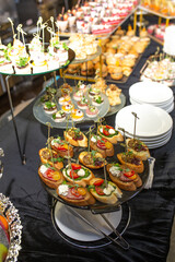Catering Buffet Table with Delicious Appetizers and Snacks for Guests at a Party or Corporate Event