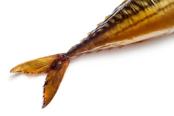 Tail of smoked mackerel fish close-up. Smoked mackerel fish on white background.