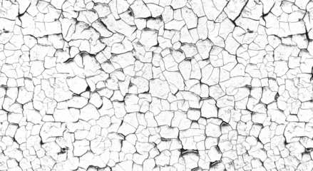 paint flakes craquelure overlay for design