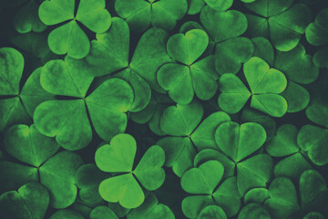 Background with green clover leaves for Saint Patrick's day. Abstract pattern with a shamrock....