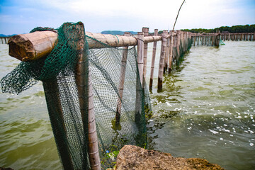 Wooden or bamboo poles in river.Fishing nets, river trout farming