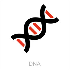 DNA