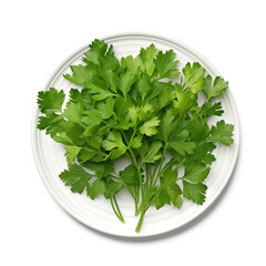 Fresh parsley on plate isolated on white background.