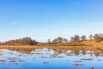 Flooded meadow with a hilly lakeshore a sunny spring day