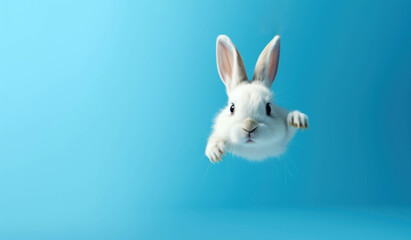 An Easter bunny and a white rabbit are floating in the air on a blue background,3d rendering