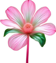 Naklejka premium Pink flower. Close-up glowing translucent pink color flower. 