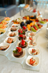 Catering Buffet with Appetizers, Refreshments, Fruit, Pastries, and Sandwiches for Guests