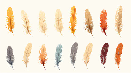 Set collection of feathers