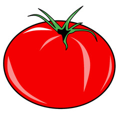 tomato illustration creative