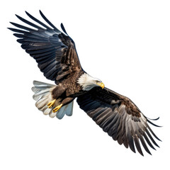 American Eagle in Flight. Majestic Bird in Action. Isolated on a Transparent Background. Cutout PNG.