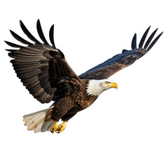 Fototapeta premium American Eagle in Flight. Majestic Bird in Action. Isolated on a Transparent Background. Cutout PNG.