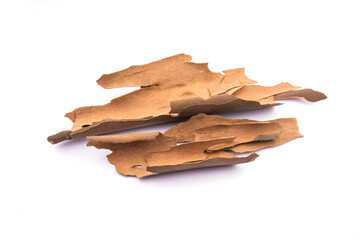 brown dry bark. dried bark on a white background