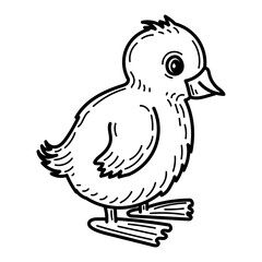 Coloring page little duckling sketch. Cute animal. Hand drawn vector illustration.