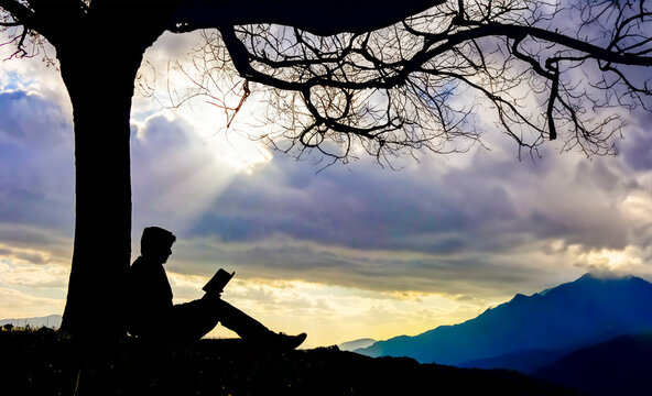 Reading books in nature relaxes, relaxes and provides therapy.